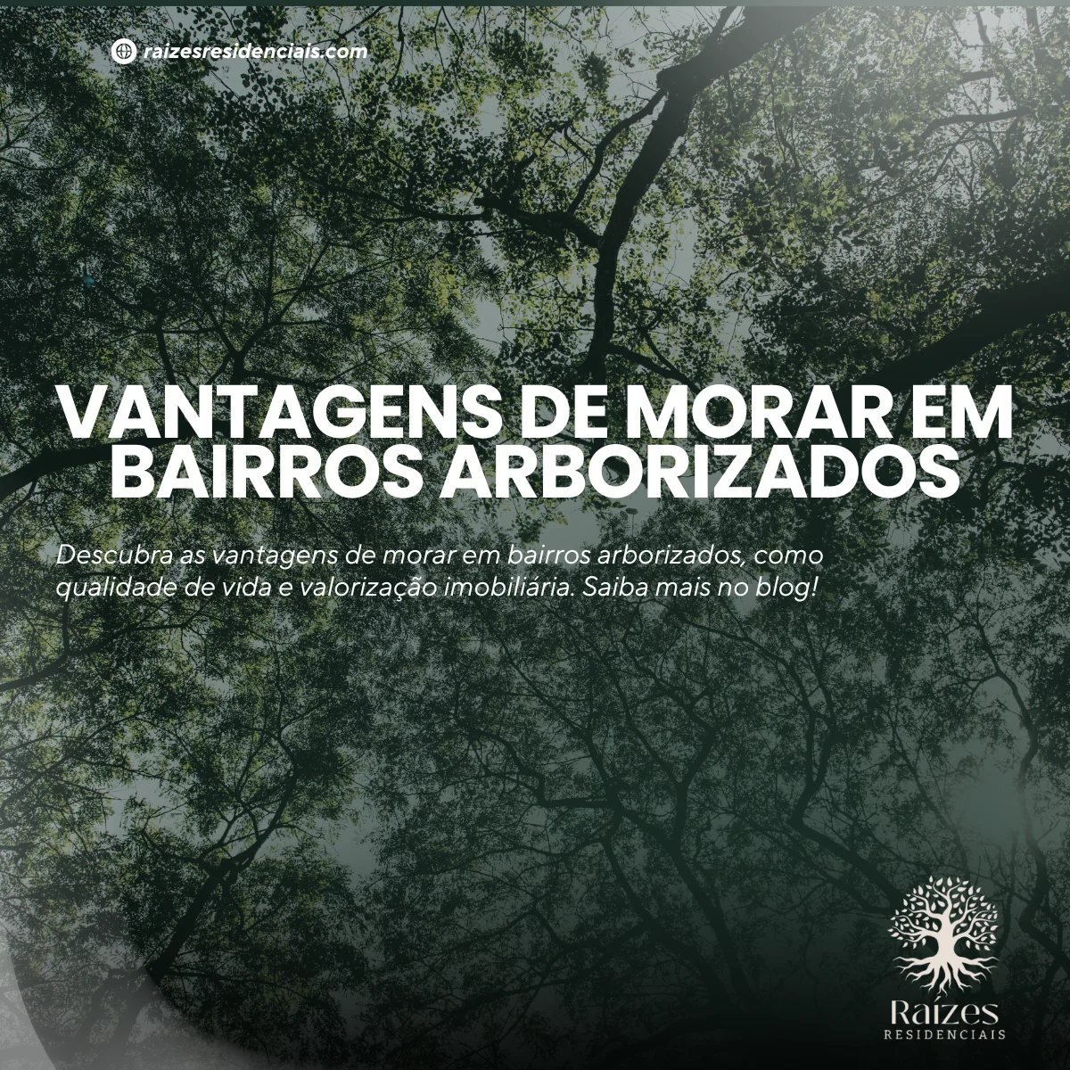 Raízes Residenciais, peça 3